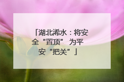 湖北浠水：将安全“置顶” 为平安“把关”