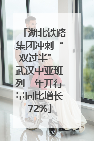 湖北铁路集团冲刺“双过半” 武汉中亚班列一年开行量同比增长72%