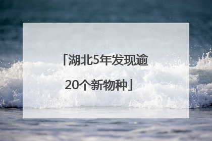 湖北5年发现逾20个新物种