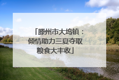 滕州市大坞镇：倾情助力三夏夺取粮食大丰收