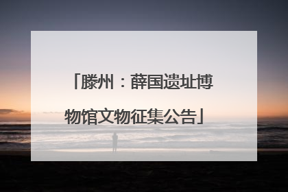 滕州：薛国遗址博物馆文物征集公告