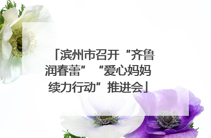 滨州市召开“齐鲁润春蕾”“爱心妈妈续力行动”推进会