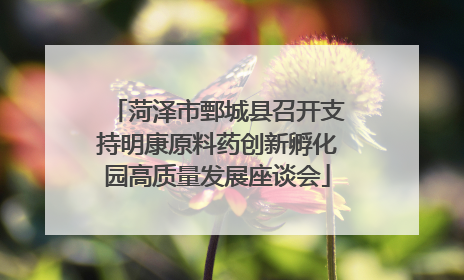 菏泽市鄄城县召开支持明康原料药创新孵化园高质量发展座谈会