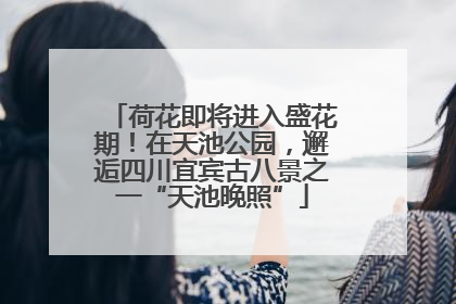 荷花即将进入盛花期！在天池公园，邂逅四川宜宾古八景之一“天池晚照”