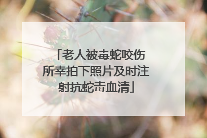老人被毒蛇咬伤 所幸拍下照片及时注射抗蛇毒血清