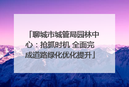聊城市城管局园林中心：抢抓时机 全面完成道路绿化优化提升
