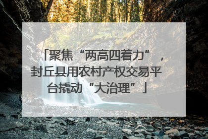 聚焦“两高四着力”，封丘县用农村产权交易平台撬动“大治理”