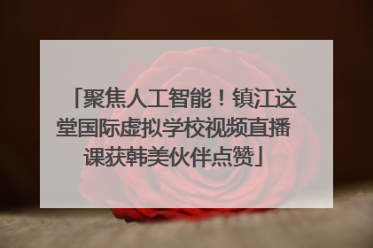 聚焦人工智能！镇江这堂国际虚拟学校视频直播课获韩美伙伴点赞
