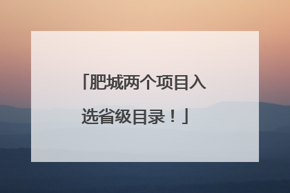 肥城两个项目入选省级目录！