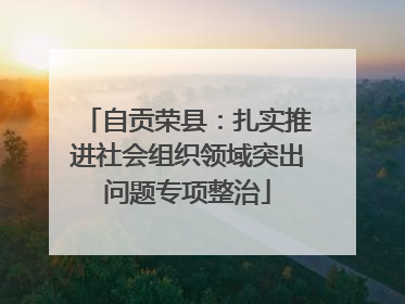 自贡荣县：扎实推进社会组织领域突出问题专项整治