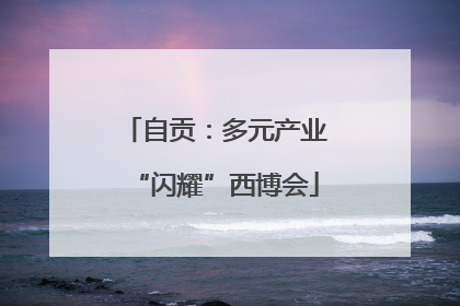自贡：多元产业“闪耀”西博会