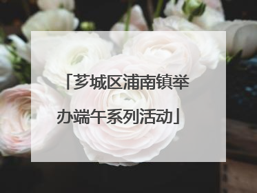 芗城区浦南镇举办端午系列活动