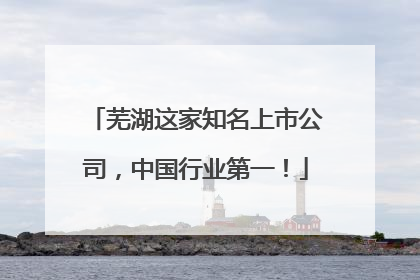 芜湖这家知名上市公司，中国行业第一！