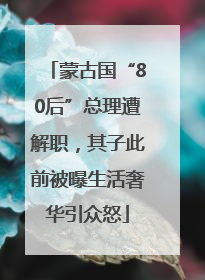 蒙古国“80后”总理遭解职，其子此前被曝生活奢华引众怒