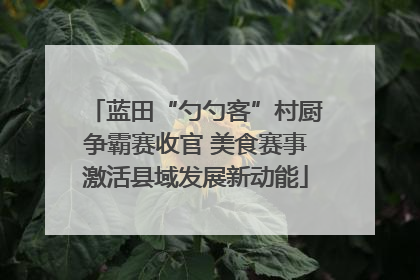 蓝田“勺勺客”村厨争霸赛收官 美食赛事激活县域发展新动能