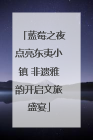 蓝莓之夜点亮东夷小镇 非遗雅韵开启文旅盛宴