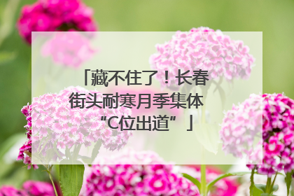 藏不住了！长春街头耐寒月季集体“C位出道”