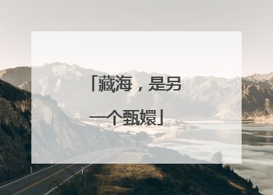 藏海，是另一个甄嬛