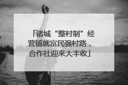 诸城“整村制”经营铺就富民强村路，合作社迎来大丰收