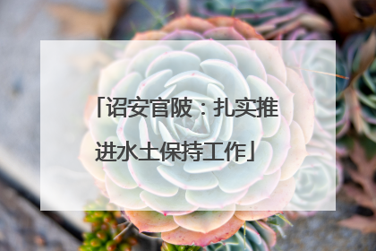 诏安官陂：扎实推进水土保持工作