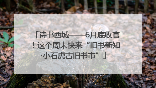 诗书西城——6月底收官！这个周末快来“旧书新知·小石虎古旧书市”