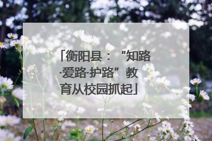 衡阳县：“知路·爱路·护路”教育从校园抓起