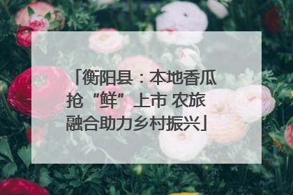 衡阳县：本地香瓜抢“鲜”上市 农旅融合助力乡村振兴