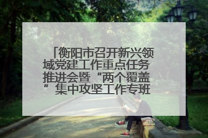 衡阳市召开新兴领域党建工作重点任务推进会暨“两个覆盖”集中攻坚工作专班 第一次会议