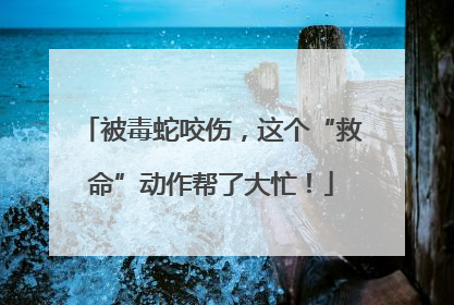 被毒蛇咬伤，这个“救命”动作帮了大忙！