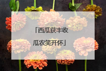 西瓜获丰收 瓜农笑开怀