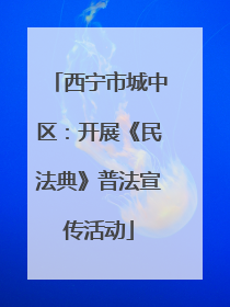 西宁市城中区：开展《民法典》普法宣传活动