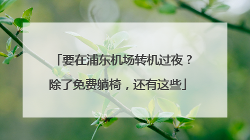 要在浦东机场转机过夜？除了免费躺椅，还有这些