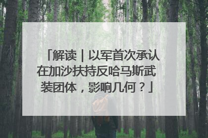 解读｜以军首次承认在加沙扶持反哈马斯武装团体，影响几何？