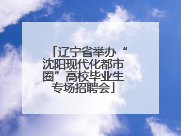 辽宁省举办“沈阳现代化都市圈”高校毕业生专场招聘会