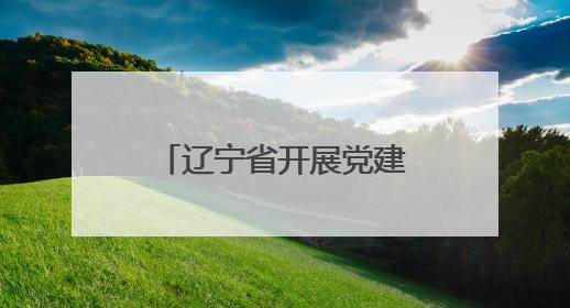 辽宁省开展党建引领“专业社工+志愿服务”融合试点社区建设培训