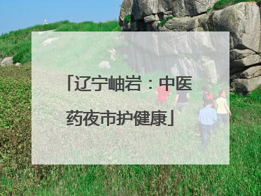 辽宁岫岩：中医药夜市护健康