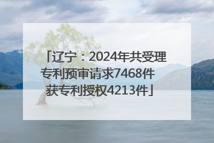 辽宁：2024年共受理专利预审请求7468件 获专利授权4213件