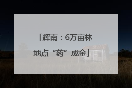 辉南：6万亩林地点“药”成金