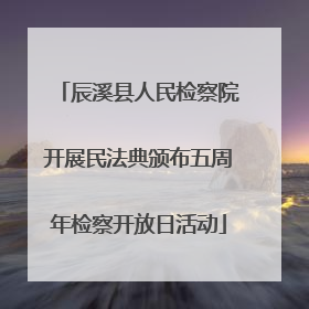 辰溪县人民检察院开展民法典颁布五周年检察开放日活动