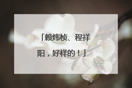 赖炜桢、程祥阳，好样的！