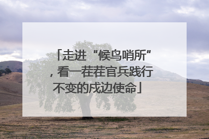 走进“候鸟哨所”，看一茬茬官兵践行不变的戍边使命