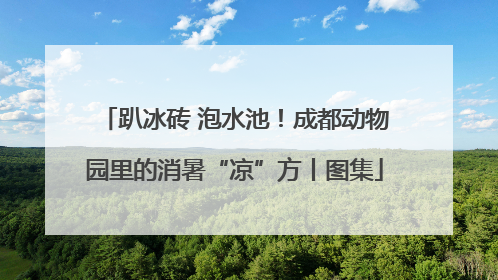 趴冰砖 泡水池！成都动物园里的消暑“凉”方丨图集