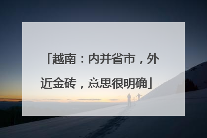 越南：内并省市，外近金砖，意思很明确