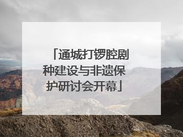 通城打锣腔剧种建设与非遗保护研讨会开幕