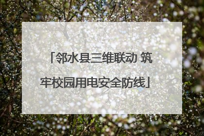 邻水县三维联动 筑牢校园用电安全防线