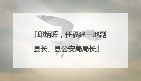 邱炳晖，任福建一地副县长、县公安局局长
