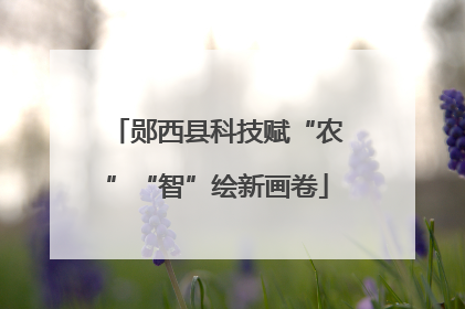 郧西县科技赋“农”“智”绘新画卷