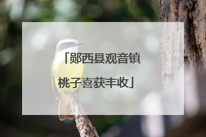 郧西县观音镇桃子喜获丰收