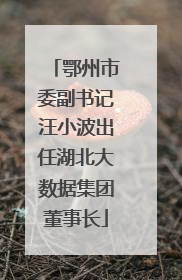 鄂州市委副书记汪小波出任湖北大数据集团董事长
