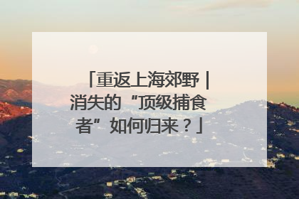 重返上海郊野｜消失的“顶级捕食者”如何归来？